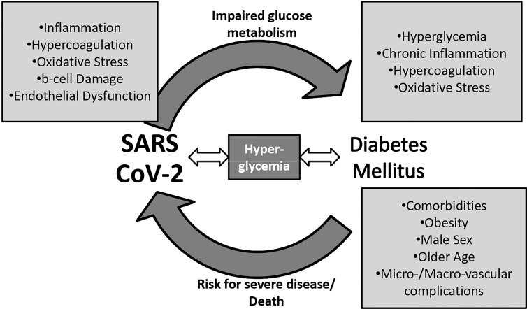 The Role of Diabetes and Hyperglycemia on COVID-19 Infection Course-A Narrative Review.