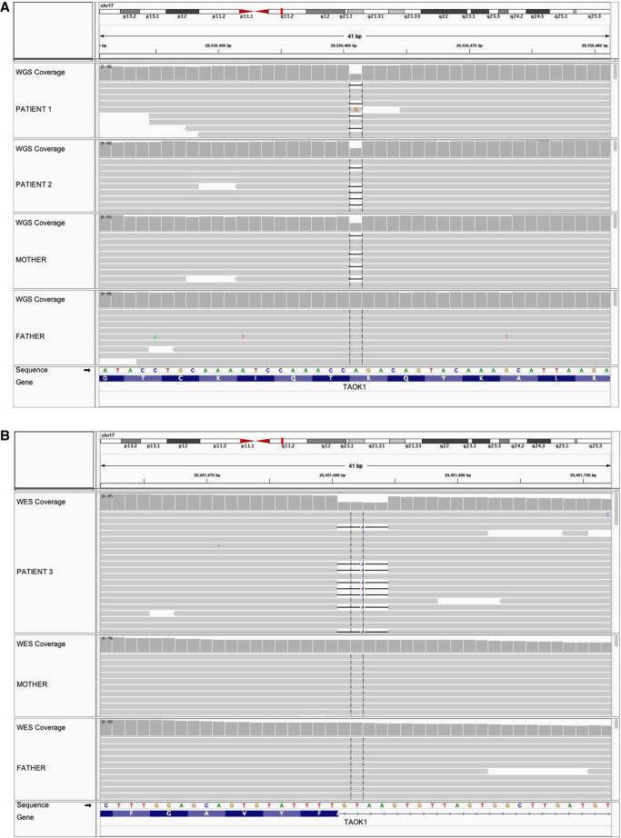 Inherited and de novo variants extend the etiology of <i>TAOK1</i>-associated neurodevelopmental disorder.