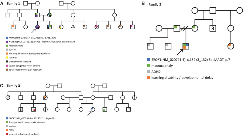 Inherited and de novo variants extend the etiology of <i>TAOK1</i>-associated neurodevelopmental disorder.