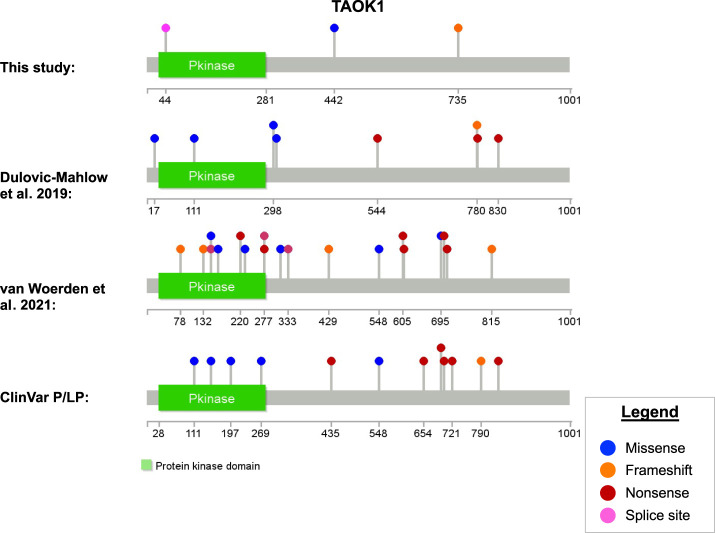 Inherited and de novo variants extend the etiology of <i>TAOK1</i>-associated neurodevelopmental disorder.