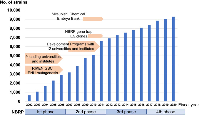 Mouse resources at the RIKEN BioResource Research Center and the National BioResource Project core facility in Japan.