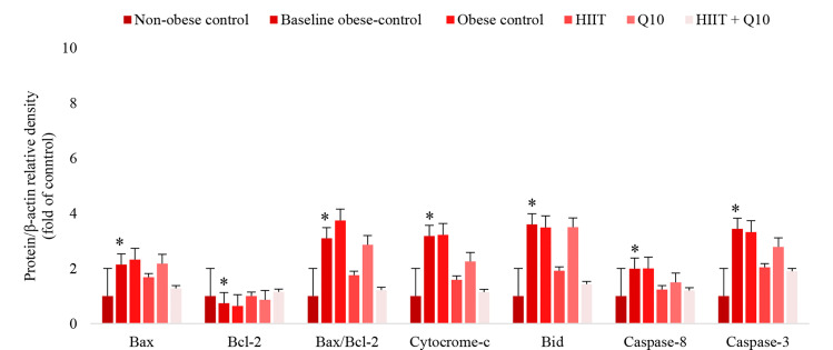 Effect of high-intensity interval training and coenzyme Q10 supplementation on cardiac apoptosis in obese male rats.