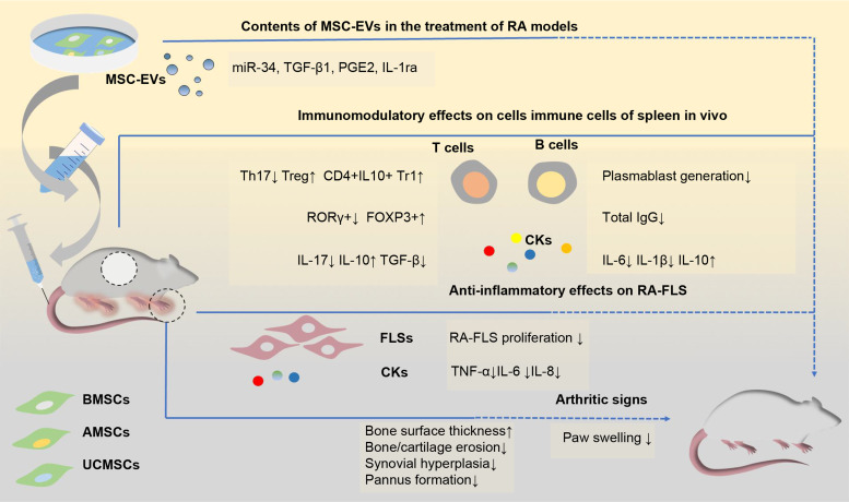 Update on the role of extracellular vesicles in rheumatoid arthritis.