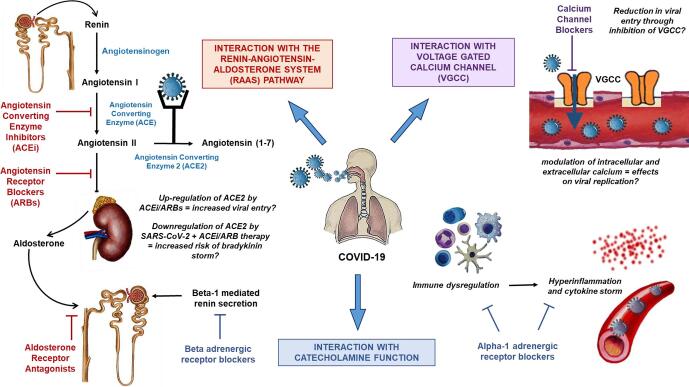 Hypertension and COVID-19: Updates from the era of vaccines and variants