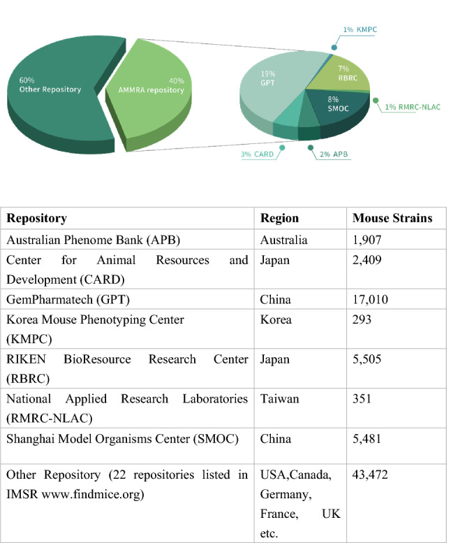 Asian Mouse Mutagenesis Resource Association (AMMRA): mouse genetics and laboratory animal resources in the Asia Pacific.