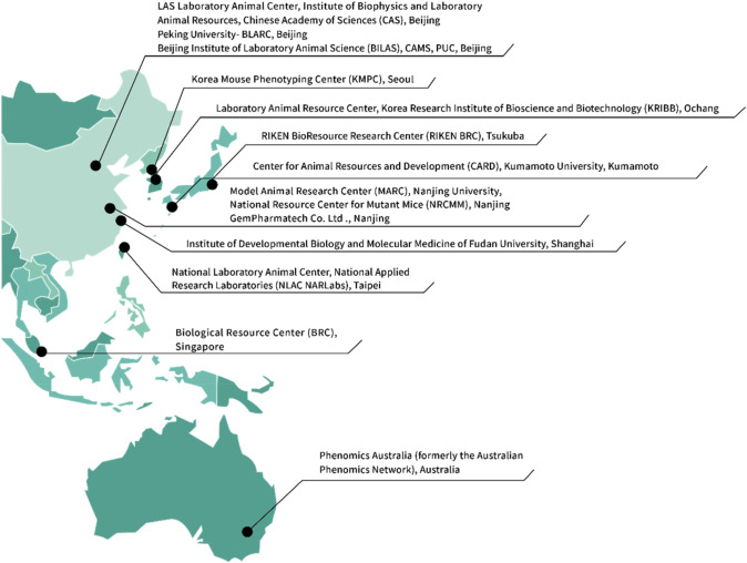 Asian Mouse Mutagenesis Resource Association (AMMRA): mouse genetics and laboratory animal resources in the Asia Pacific.