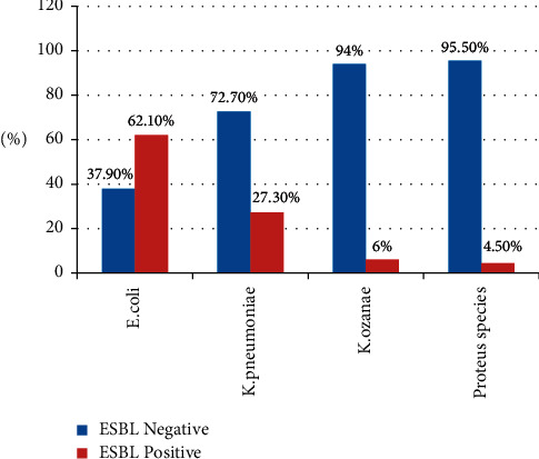 Extended-Spectrum Beta-Lactamase- and Carbapenemase-Producing Enterobacteriaceae Family of Bacteria from Diarrheal Stool Samples in Northwest Ethiopia.