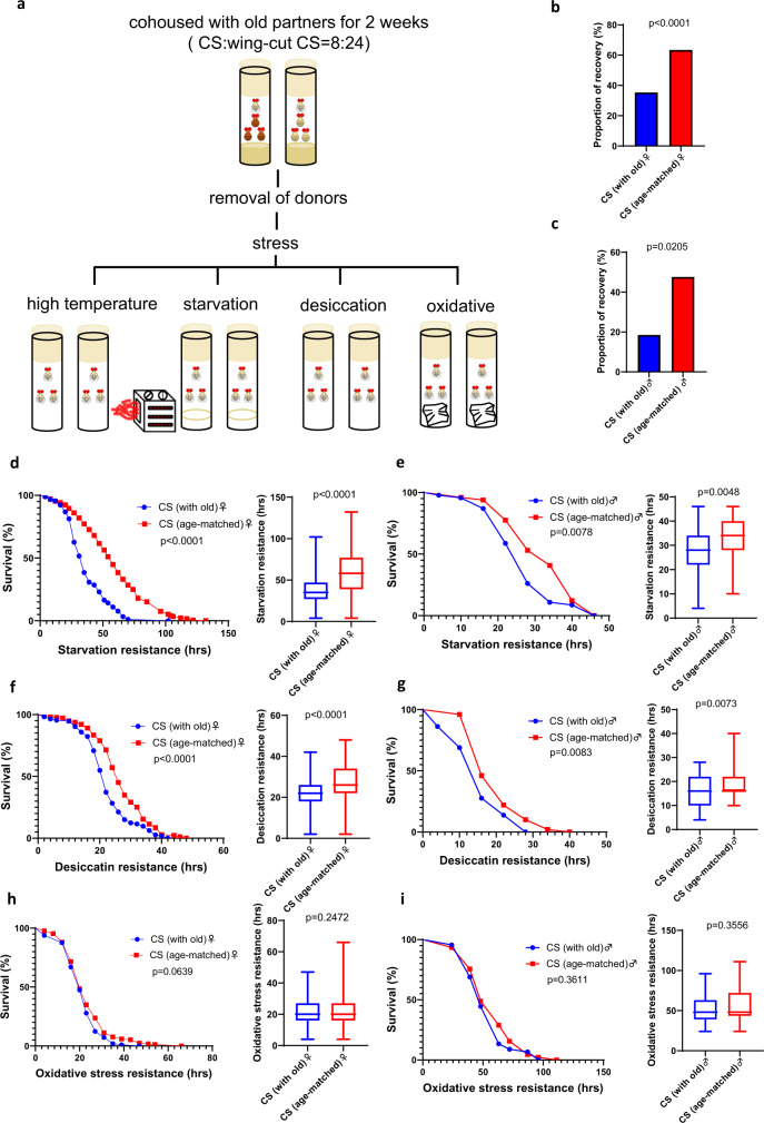 The deleterious effects of old social partners on Drosophila lifespan and stress resistance.