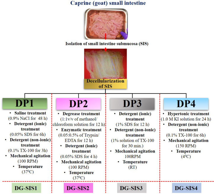 Development of decellularization protocol for caprine small intestine submucosa as a biomaterial