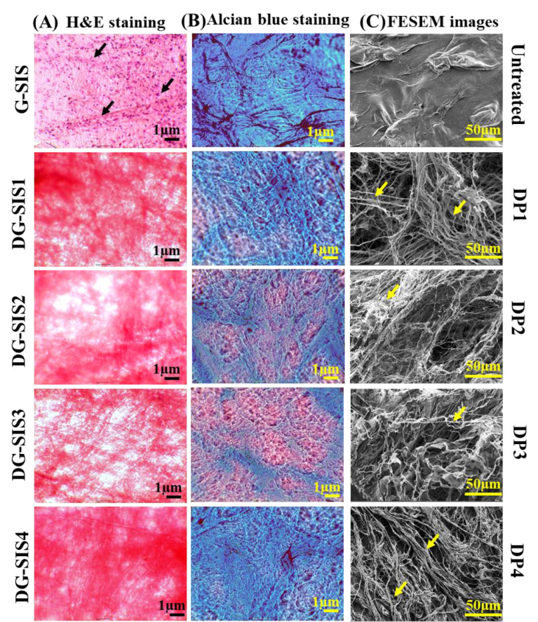 Development of decellularization protocol for caprine small intestine submucosa as a biomaterial