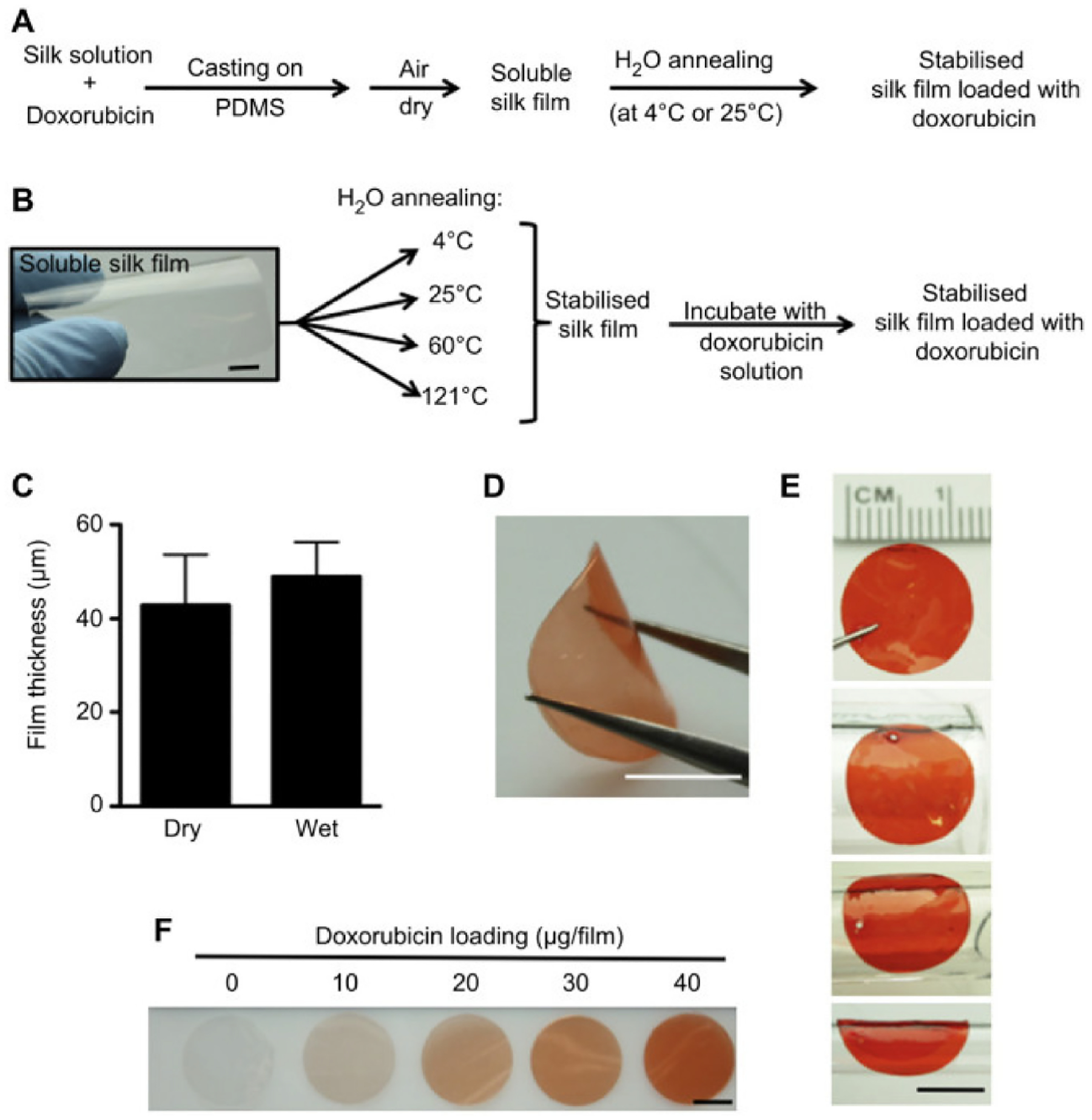 Implantable Devices for the Treatment of Breast Cancer.