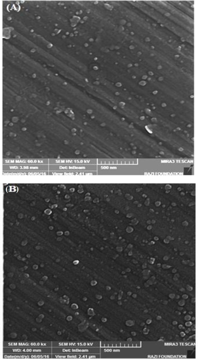 Fabrication of Silk Scaffold Containing Simvastatin-Loaded Silk Fibroin Nanoparticles for Regenerating Bone Defects