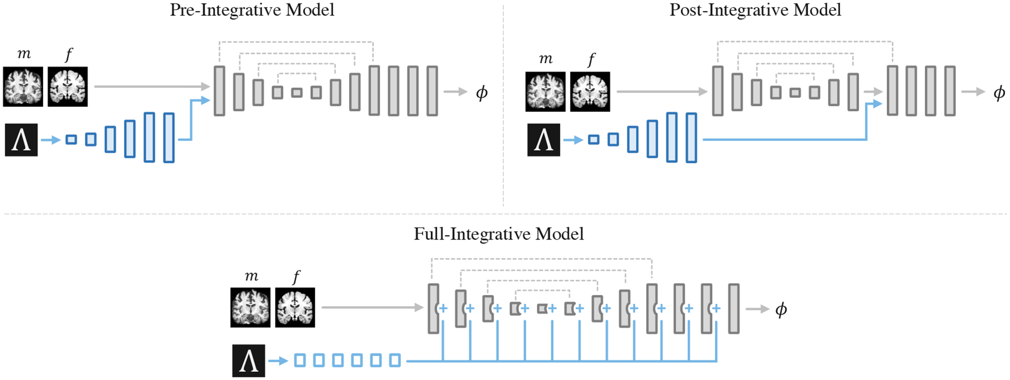 Learning the Effect of Registration Hyperparameters with HyperMorph.