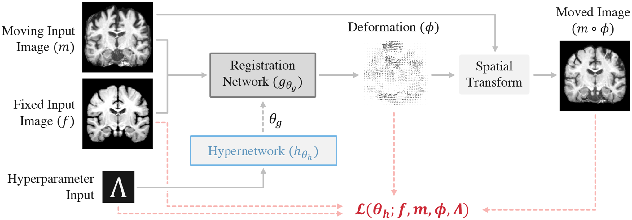 Learning the Effect of Registration Hyperparameters with HyperMorph.