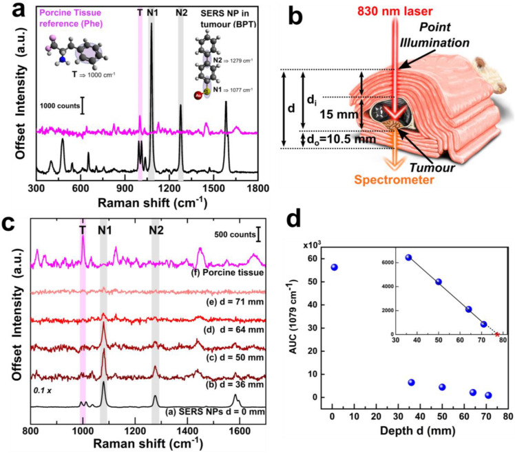 Surface enhanced deep Raman detection of cancer tumour through 71 mm of heterogeneous tissue.