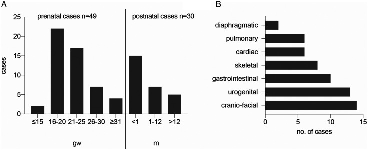 Cerebral Abnormalities in Spina Bifida: A Neuropathological Study.