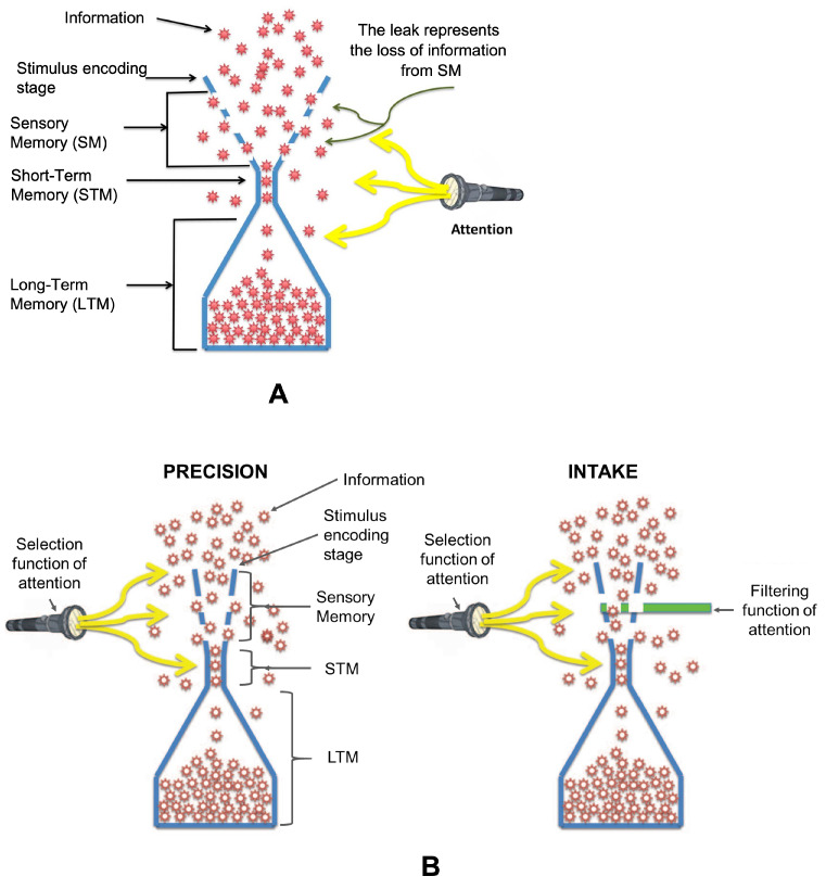 Capacity and Allocation across Sensory and Short-Term Memories.