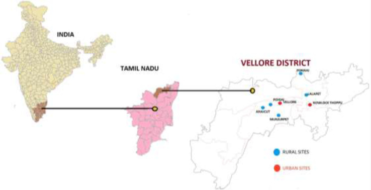 Ectoparasites Diversity on Rodents and Shrews at Scrub Typhus Endemic Vellore District of Tamil Nadu, India.