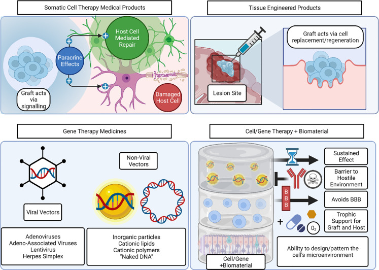 Biomaterials enhancing performance of cell and nucleic-acid therapies: An opportunity in the brain