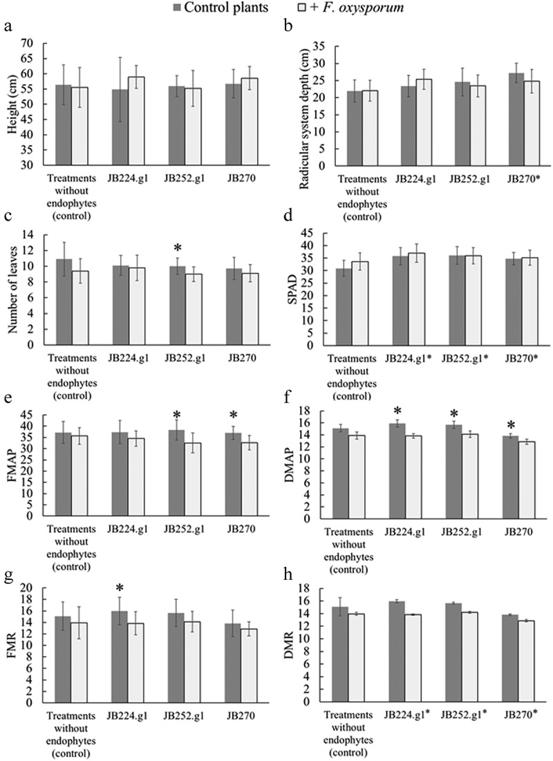 Influence of plant growth-promoting endophytes <i>Colletotrichum siamense</i> and <i>Diaporthe masirevici</i> on tomato plants (<i>Lycopersicon esculentum</i> Mill.).