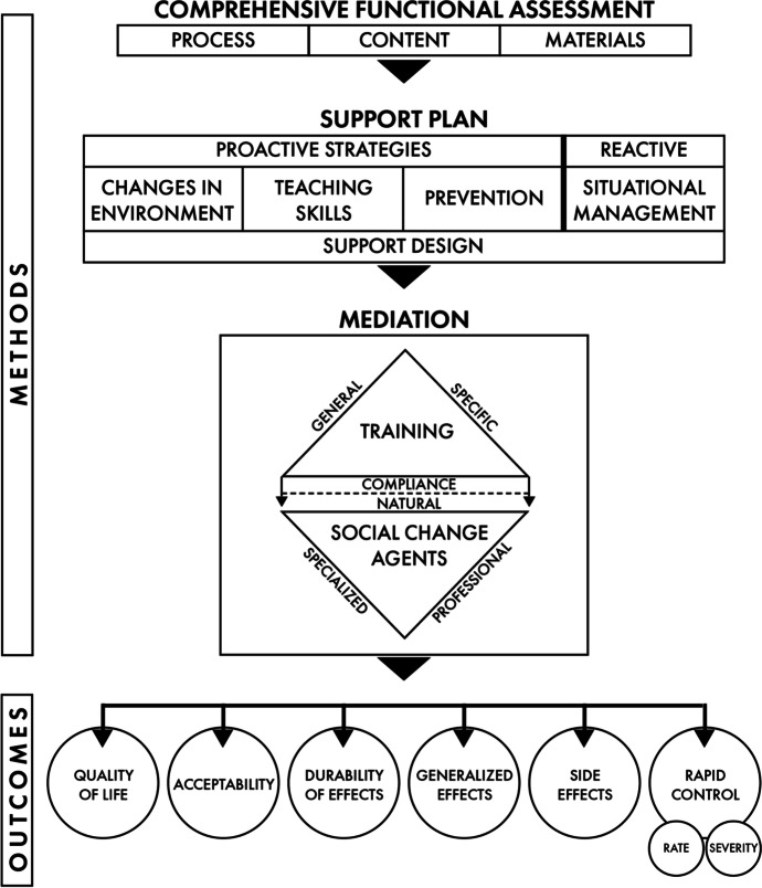 Needed independent and dependent variables in multi-element behavior support plans addressing severe behavior problems.