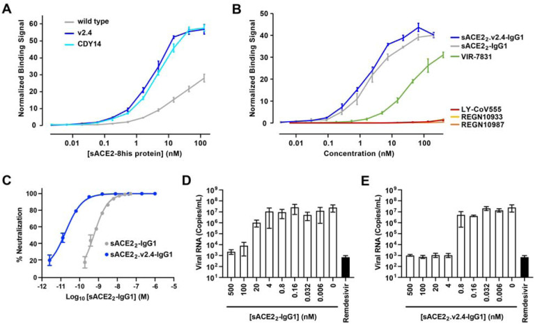 An engineered ACE2 decoy receptor can be administered by inhalation and potently targets the BA.1 and BA.2 omicron variants of SARS-CoV-2.