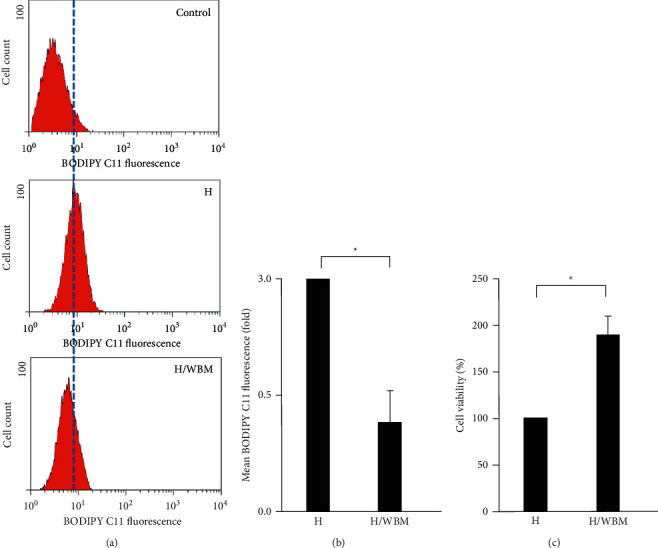 Wild Bitter Melon Extract Abrogates Hypoxia-Induced Cell Death via the Regulation of Ferroptosis, ER Stress, and Apoptosis in Microglial BV2 Cells.