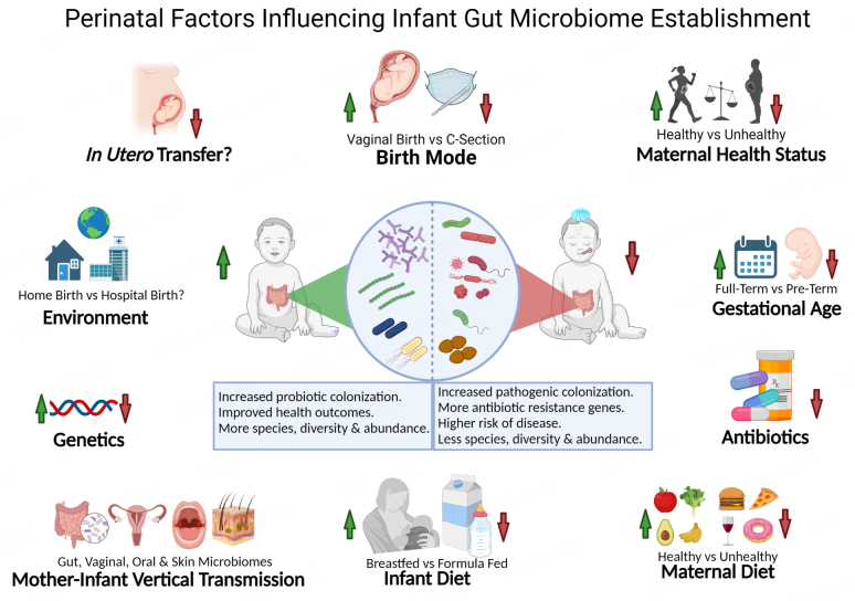 First encounters of the microbial kind: perinatal factors direct infant gut microbiome establishment.