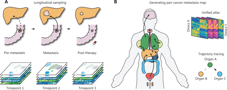 Decoding the complexity of metastasis.