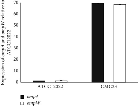 Decreased Susceptibility of <i>Shigella</i> Isolates to Azithromycin in Children in Tehran, Iran.