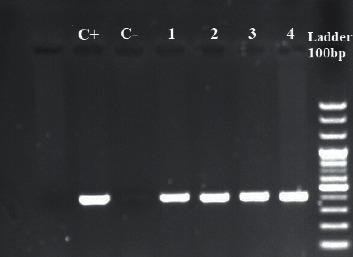 Decreased Susceptibility of <i>Shigella</i> Isolates to Azithromycin in Children in Tehran, Iran.