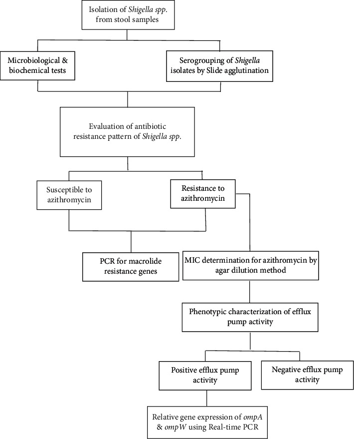 Decreased Susceptibility of <i>Shigella</i> Isolates to Azithromycin in Children in Tehran, Iran.