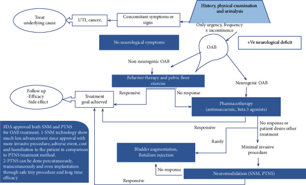 Posterior Tibial Nerve Stimulation for Overactive Bladder: Mechanism, Classification, and Management Outlines.