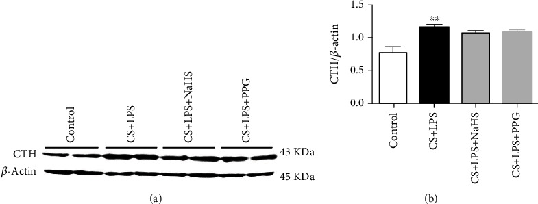 The Protective Role of Hydrogen Sulfide and Its Impact on Gene Expression Profiling in Rat Model of COPD.