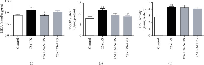 The Protective Role of Hydrogen Sulfide and Its Impact on Gene Expression Profiling in Rat Model of COPD.