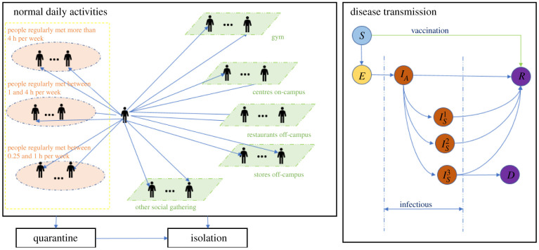 Estimating data-driven coronavirus disease 2019 mitigation strategies for safe university reopening.