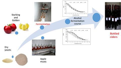 The influence of two yeast strains on fermentation and flavour composition of cider