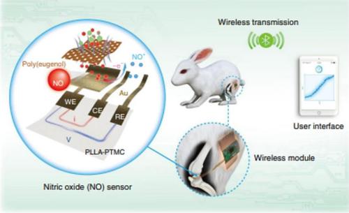 State-of-the-art electrochemistry for the assessment of oxidative stress and integral antioxidant activity of biological environments