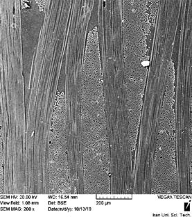 Strain-Rates Dependent Constitutive Law for Crashworthiness and Parameter Sensitivity Analysis of Woven Composites