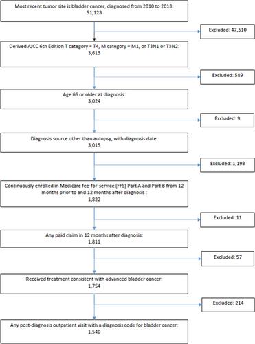 Patterns of treatment in older patients with newly diagnosed advanced bladder cancer: A SEER dataset analysis