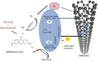 Visible-light induced photo catalytic response of MWCNTs-CdS composites via efficient interfacial charge transfer