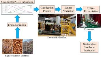 Integrated technique to produce sustainable bioethanol from lignocellulosic biomass