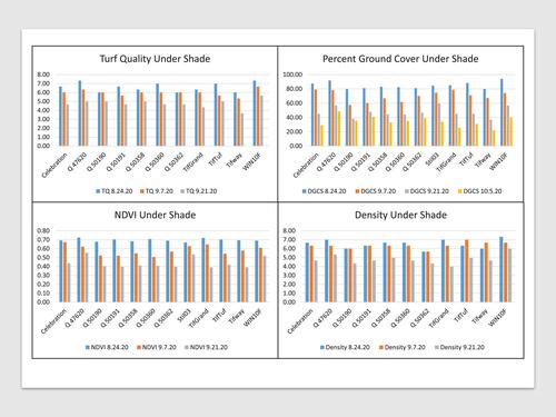 Evaluation of South African common bermudagrass germplasm for shade tolerance