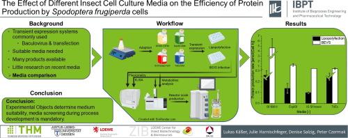 The effect of different insect cell culture media on the efficiency of protein production by Spodoptera frugiperda cells