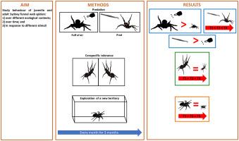 Behaviour of the Sydney funnel-web spider Atrax robustus over different contexts, time, and stimuli