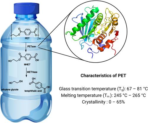 The influences of substrates' physical properties on enzymatic PET hydrolysis: Implications for PET hydrolase engineering