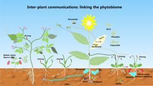 Plant intelligence in a rapidly changing world: Implementation of plant-plant communications in managed plant systems