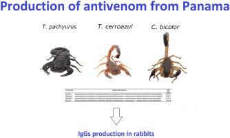 Heterologous expression of four recombinant toxins from Panamanian scorpions of the genus Tityus and Centruroides for production of antivenom