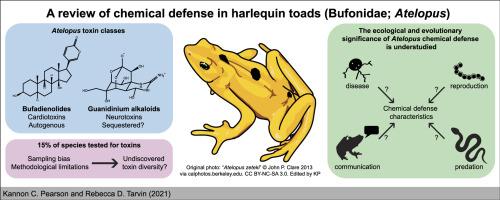 A review of chemical defense in harlequin toads (Bufonidae: Atelopus)