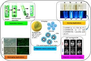 Perspectives of magnetic nature carbon dots in analytical chemistry: From separation to detection and bioimaging